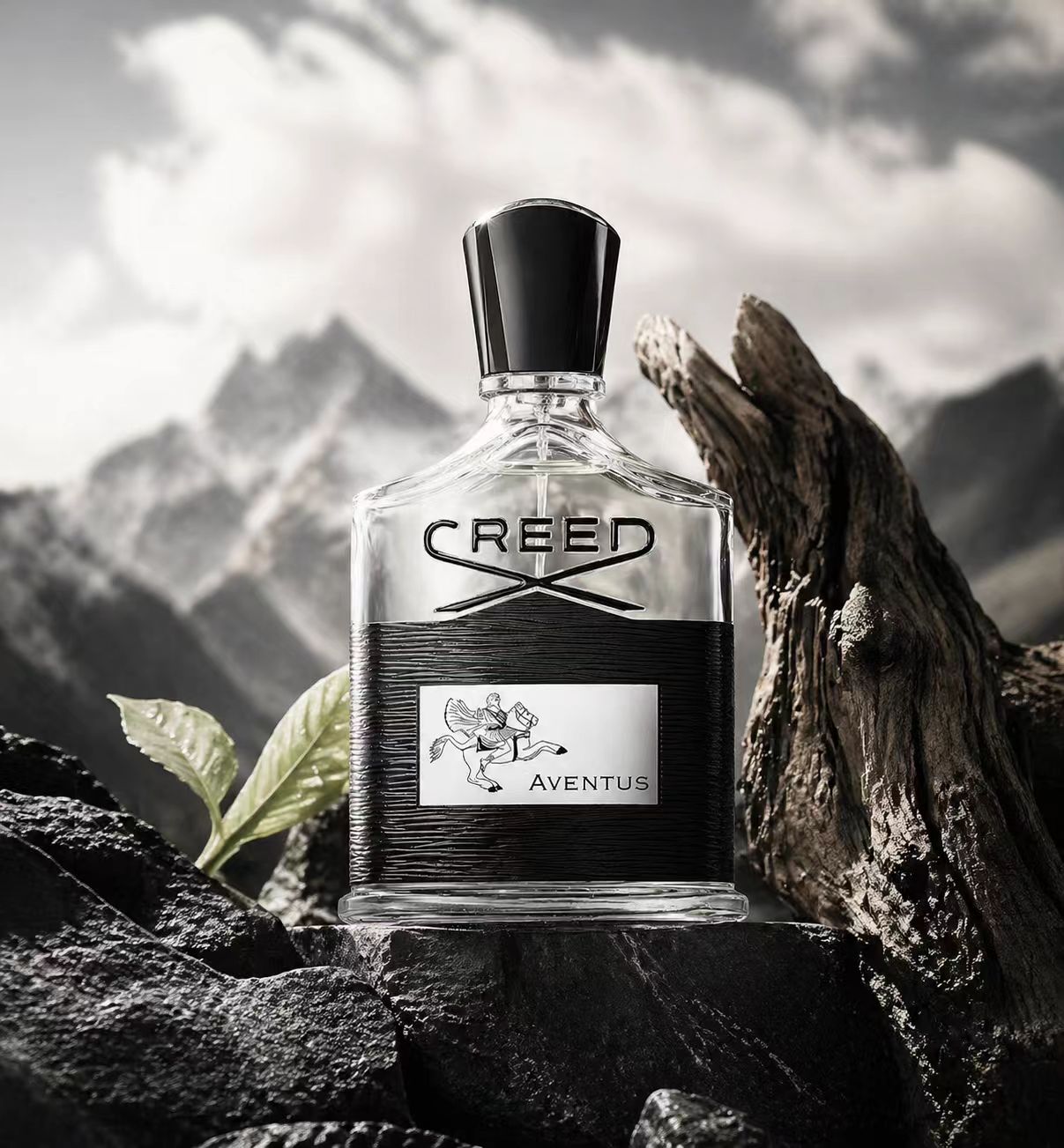 Creed Aventus: Profumo da uomo - Creed Aventus Dupe recensione e prezzo
